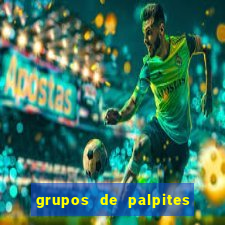 grupos de palpites de futebol whatsapp